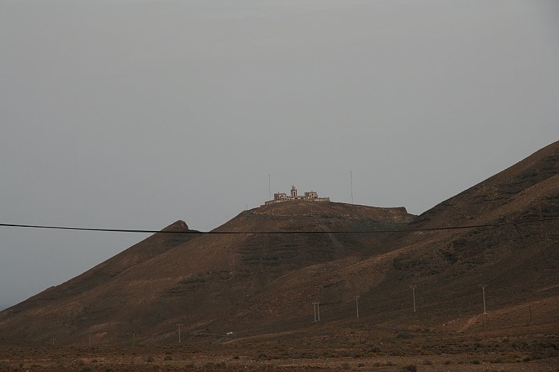 Kanary_2010 206